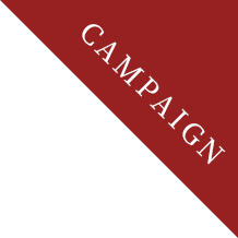 CAMPAIGN
