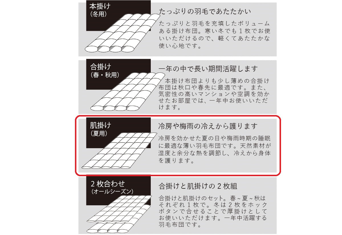 夏用羽毛布団】眠銀ホワイトマザーグースダウン97 ハンドセレクト 羽毛 